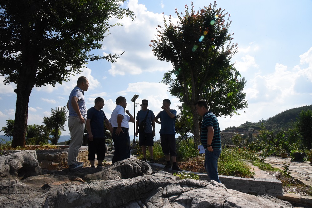 99499威尼斯(中国)有限公司首页